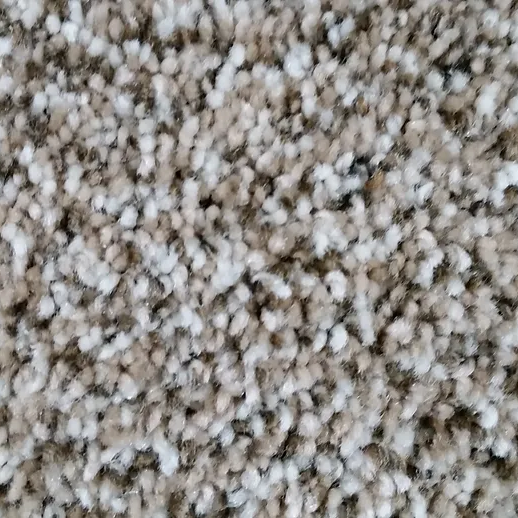 48 oz. EverStrand Soft Appeal Pet Proof Carpet Swatch