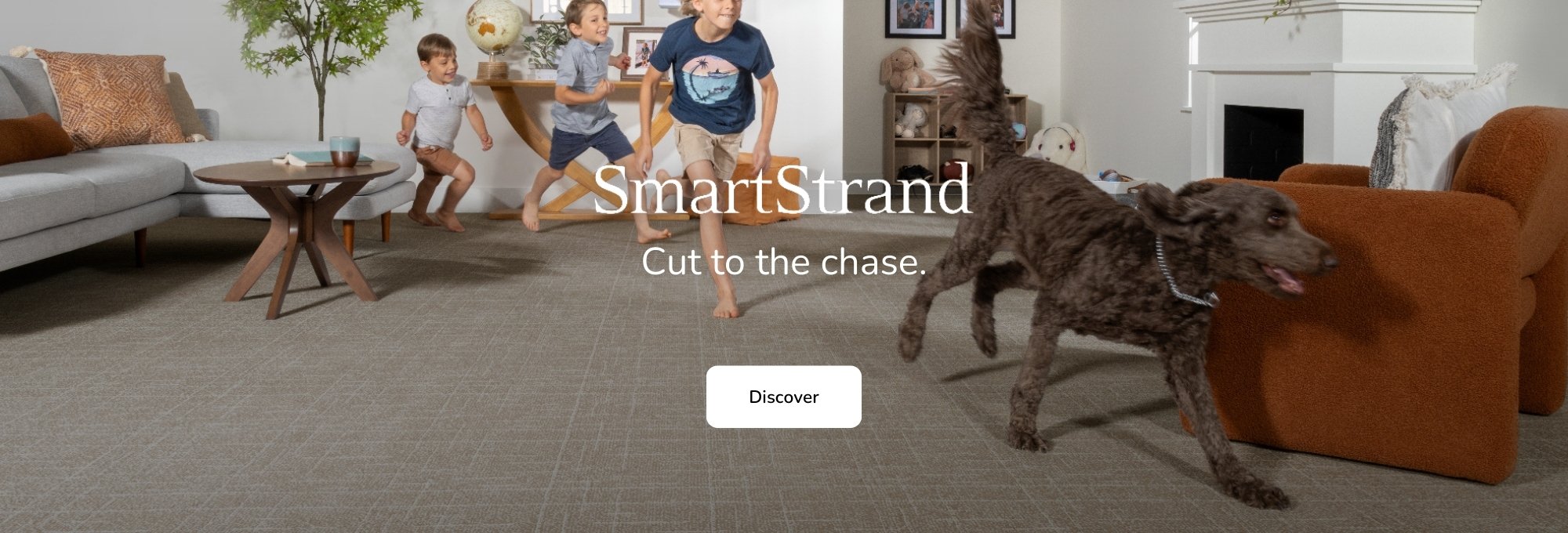 Shop SmartStrand flooring by Mohawk