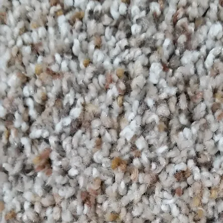 58 oz. SmartStrand silk carpet swatch